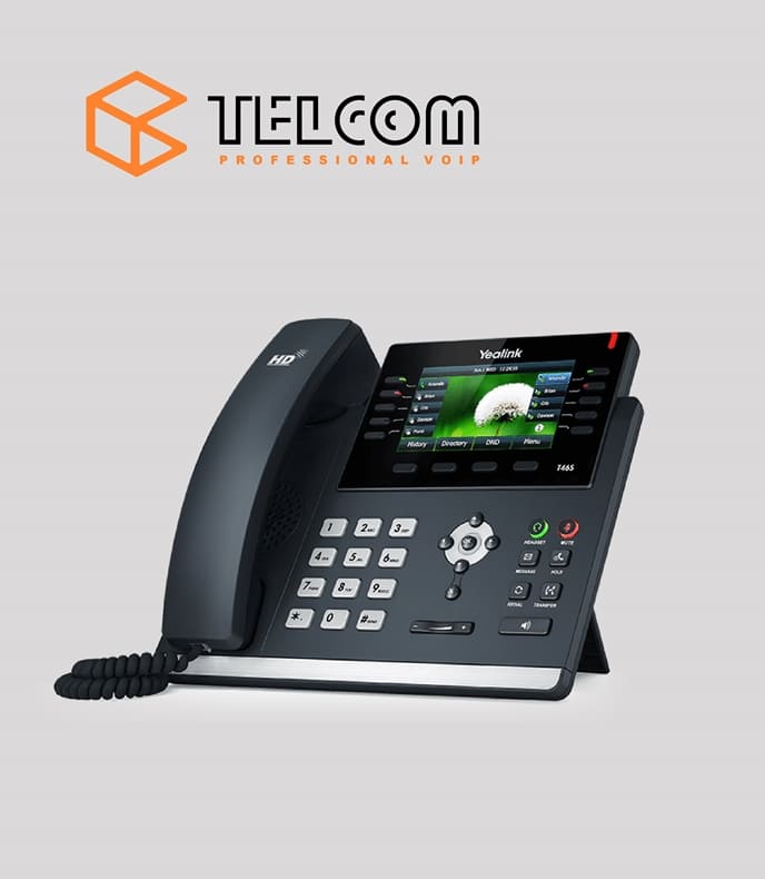 IP-телефон Yealink SIP T46S